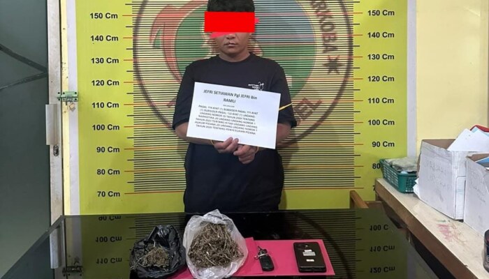 ​”Baru Dua Hari Menjabat, Kasat Resnarkoba Polres Pessel Langsung Ungkap Peredaran Ganja di Lengayang”