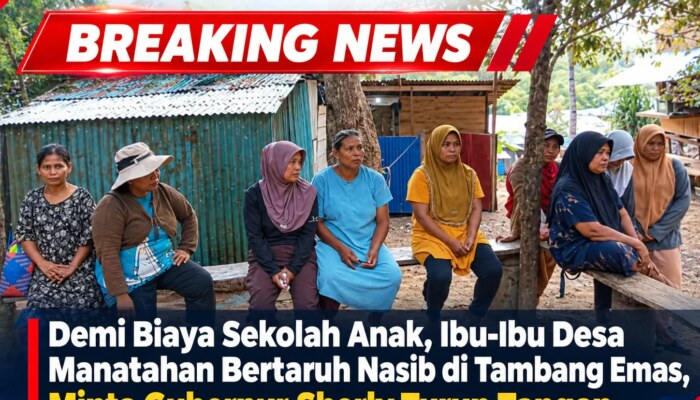 Demi Biaya Sekolah Anak, Ibu-Ibu Desa Manatahan Bertaruh Nasib di Tambang Emas, Minta Gubernur Sherly Turun Tangan